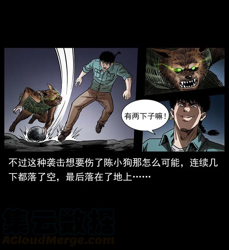 幽冥诡匠 334 山神爷现身 第5页