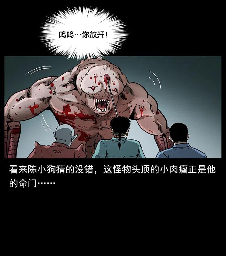 幽冥诡匠 334 山神爷现身 第60页