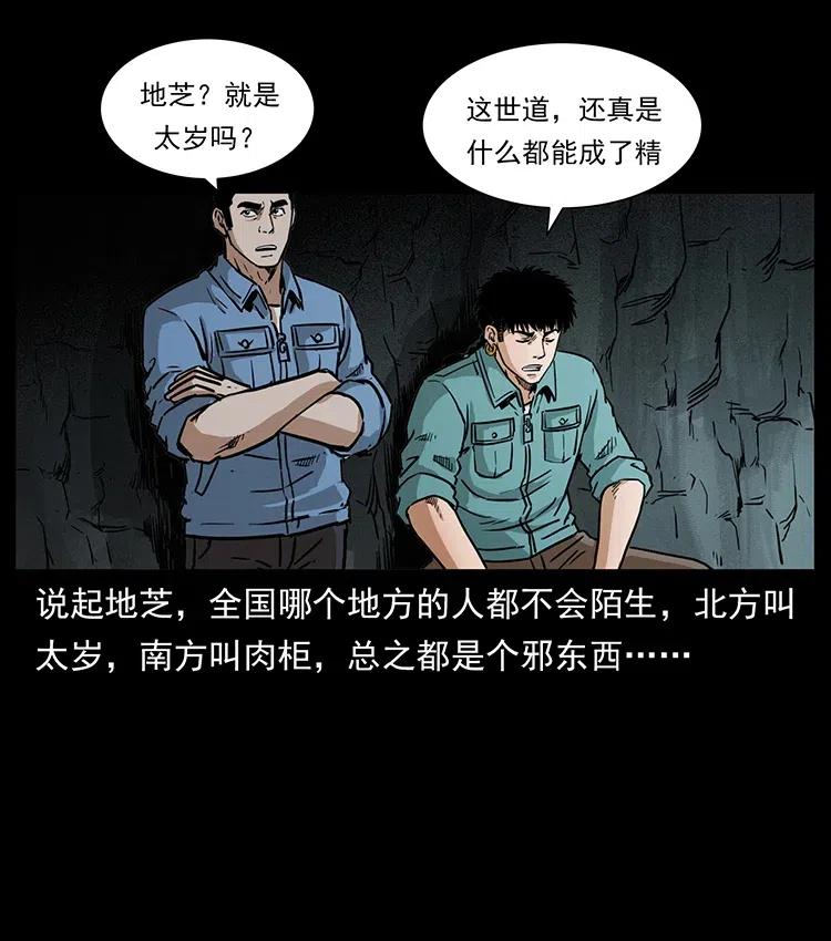 幽冥诡匠 334 山神爷现身 第71页