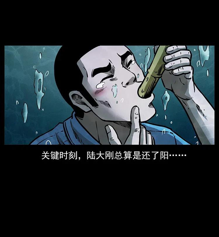 幽冥诡匠 340 深入厉砺山 第68页