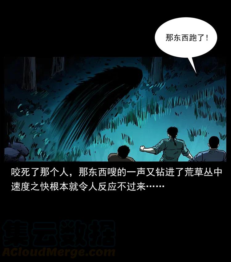 幽冥诡匠 342 白毛僵尸 第5页