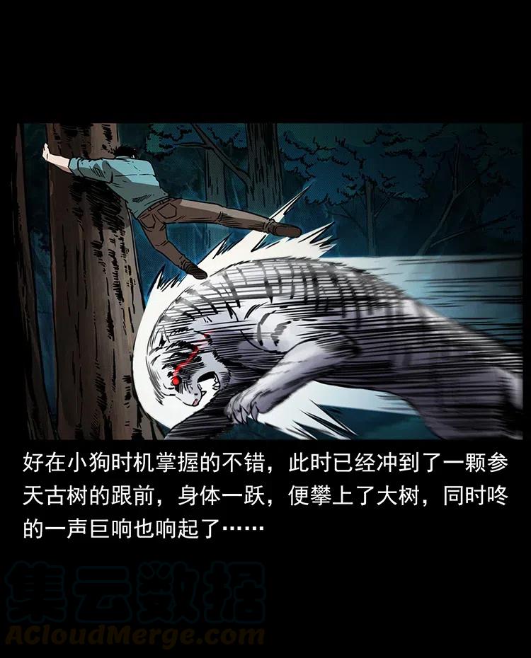 幽冥诡匠 342 白毛僵尸 第37页