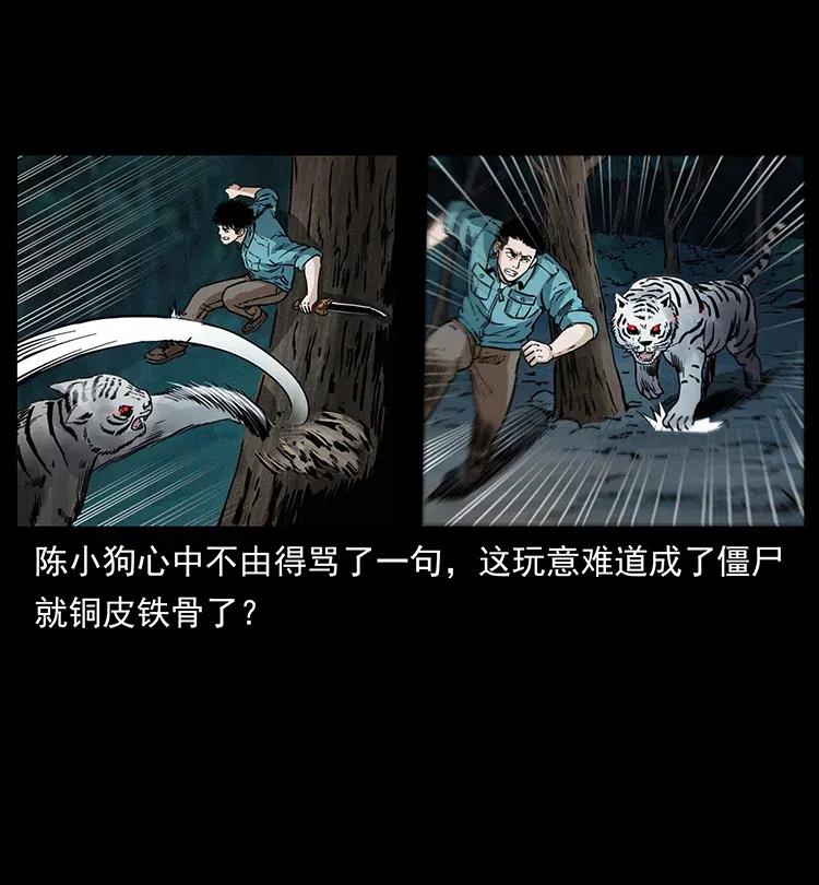 幽冥诡匠 342 白毛僵尸 第39页