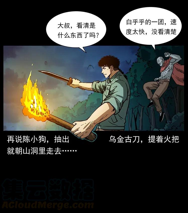 幽冥诡匠 342 白毛僵尸 第17页
