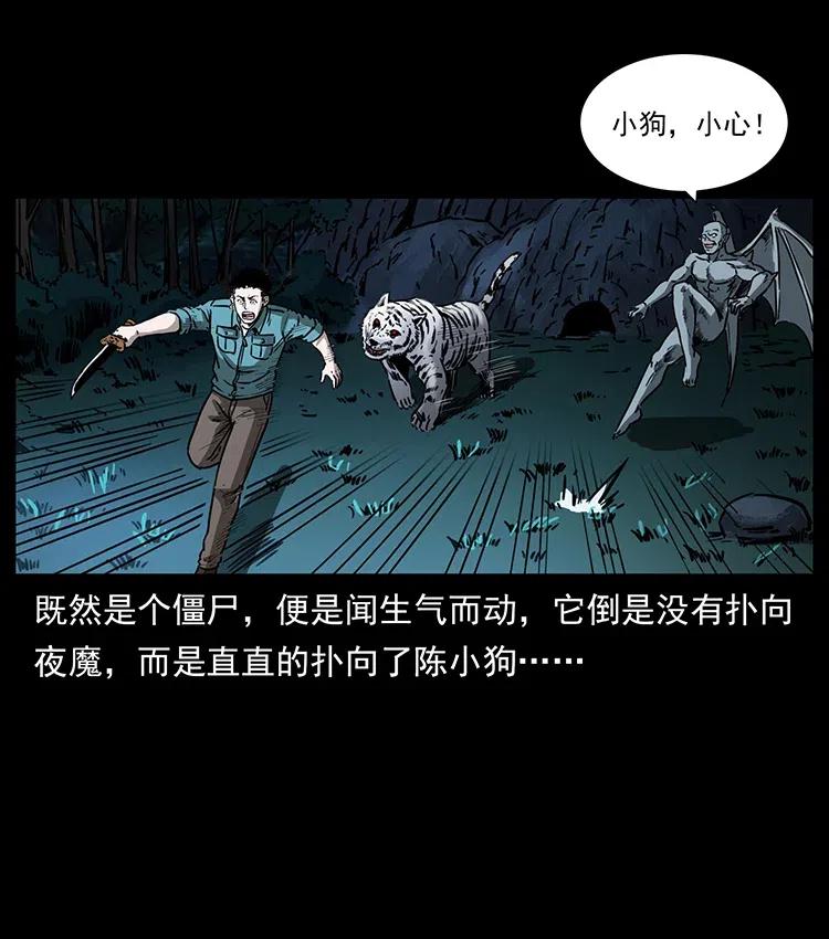 幽冥诡匠 342 白毛僵尸 第24页