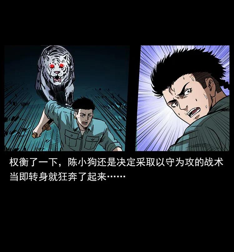 幽冥诡匠 342 白毛僵尸 第34页
