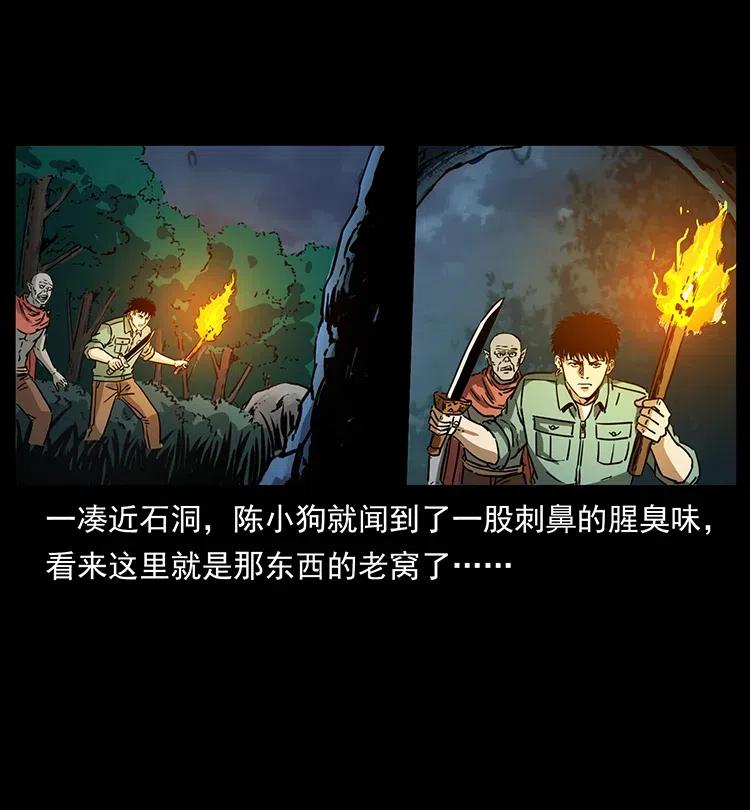 幽冥诡匠 342 白毛僵尸 第19页