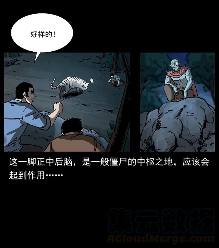 幽冥诡匠 342 白毛僵尸 第29页