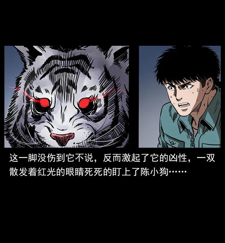 幽冥诡匠 342 白毛僵尸 第31页