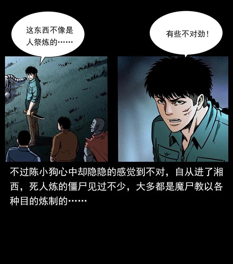 幽冥诡匠 342 白毛僵尸 第56页