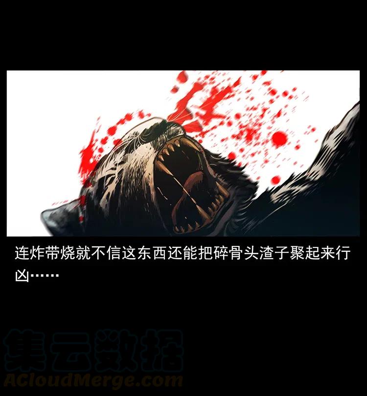 幽冥诡匠 342 白毛僵尸 第69页