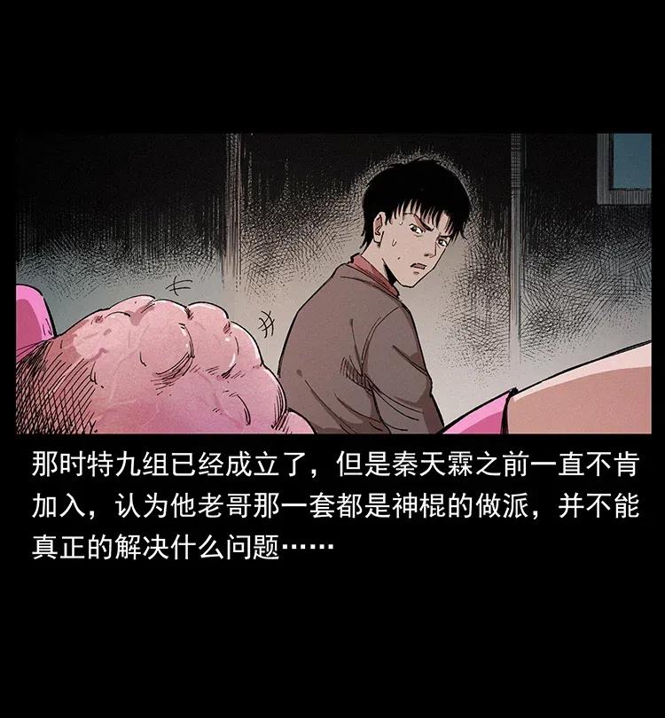幽冥诡匠 343 秦大麻烦的往事 第37页