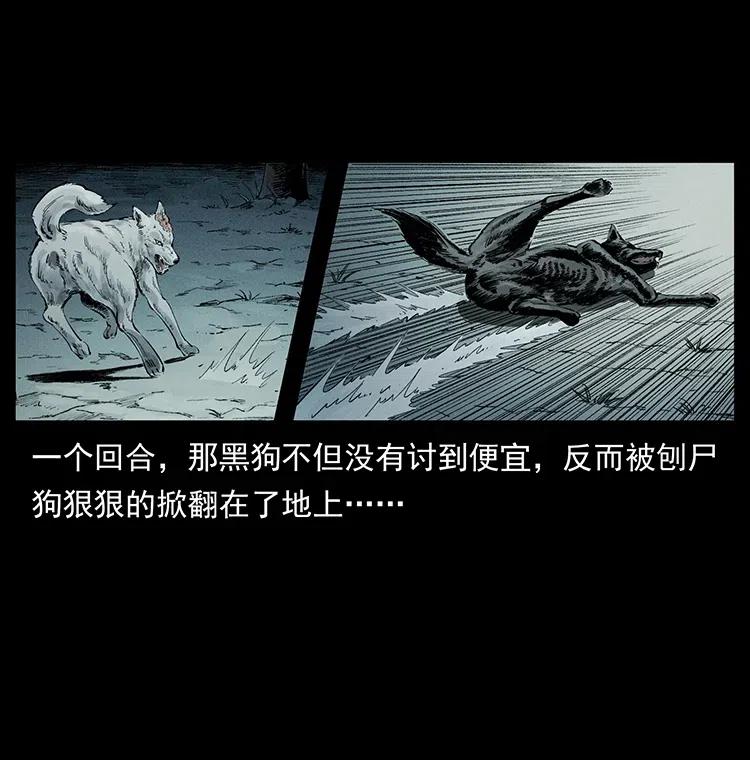 幽冥诡匠 344 刨尸狗&大冥皇 第12页