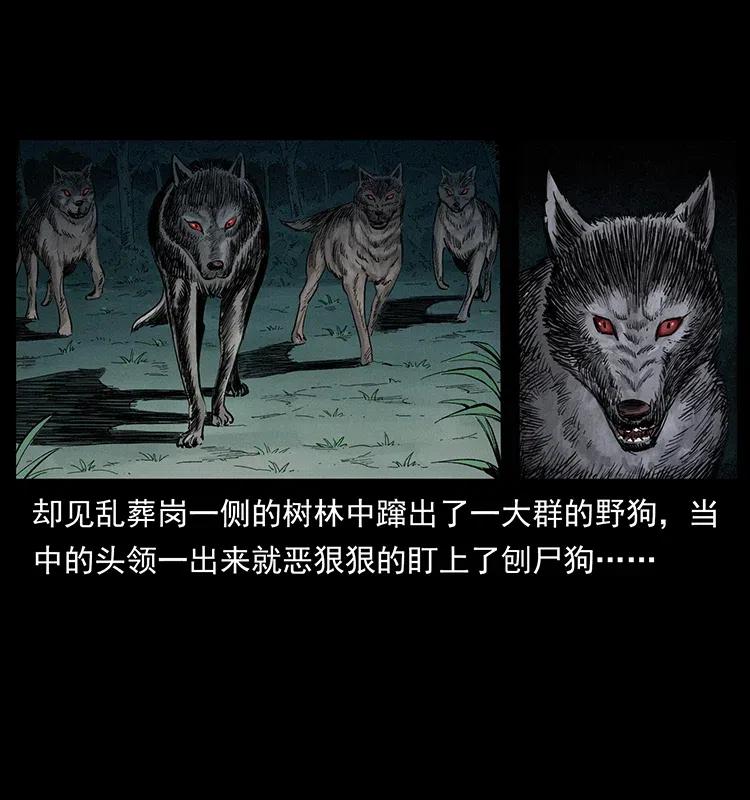 幽冥诡匠 344 刨尸狗&大冥皇 第6页