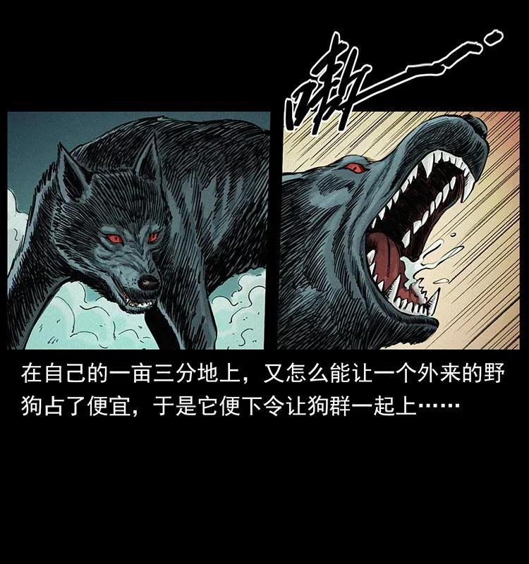幽冥诡匠 344 刨尸狗&大冥皇 第20页