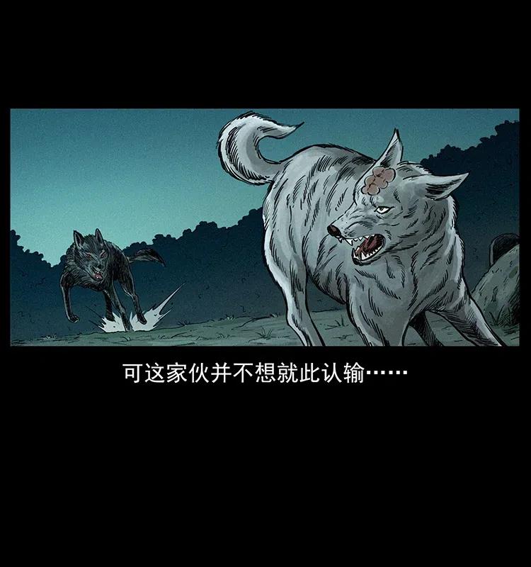 幽冥诡匠 344 刨尸狗&大冥皇 第19页