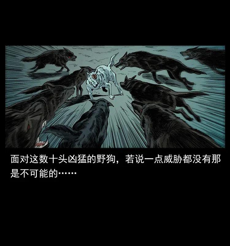 幽冥诡匠 344 刨尸狗&大冥皇 第22页