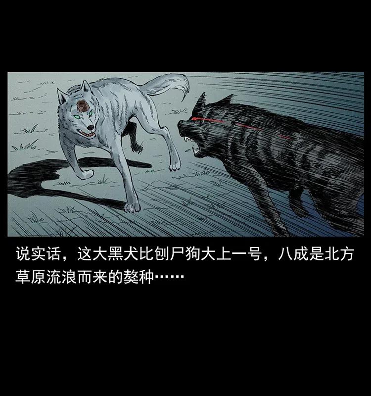 幽冥诡匠 344 刨尸狗&大冥皇 第14页