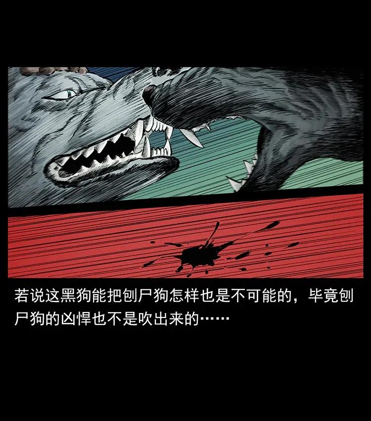 幽冥诡匠 344 刨尸狗&大冥皇 第11页