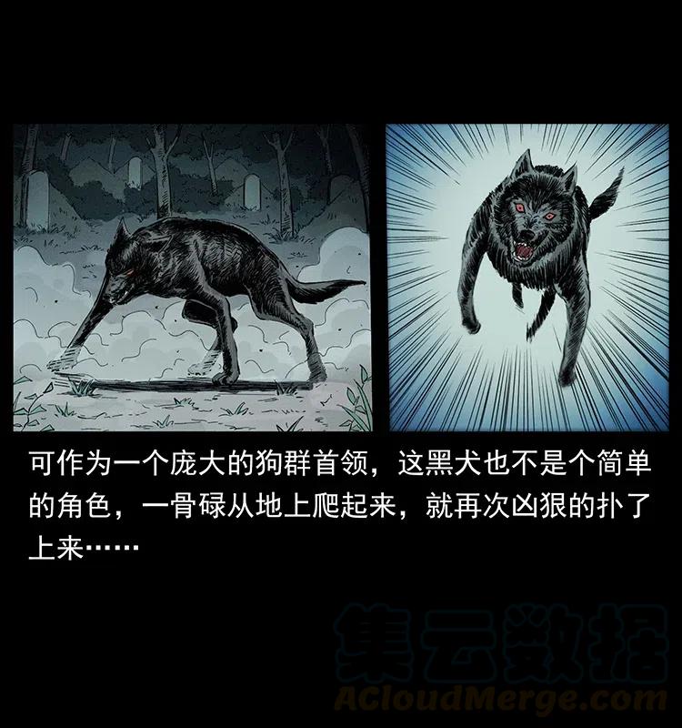 幽冥诡匠 344 刨尸狗&大冥皇 第13页
