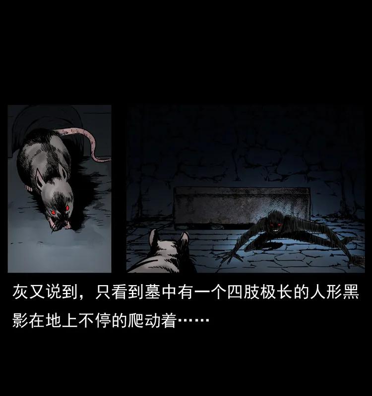 幽冥诡匠 035 陈小狗出马 第49页