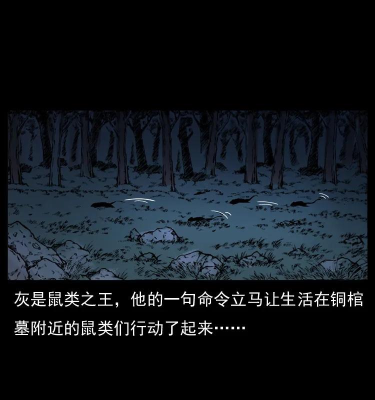 幽冥诡匠 035 陈小狗出马 第45页