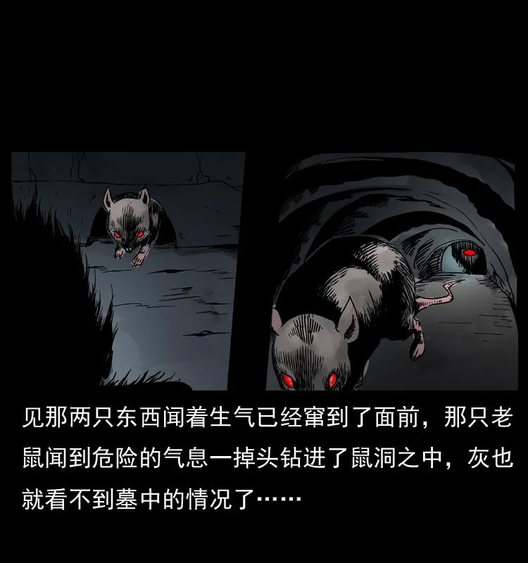 幽冥诡匠 035 陈小狗出马 第51页