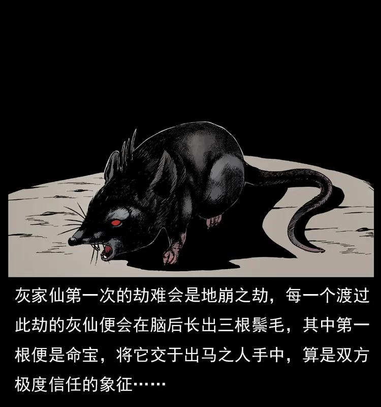 幽冥诡匠 035 陈小狗出马 第11页