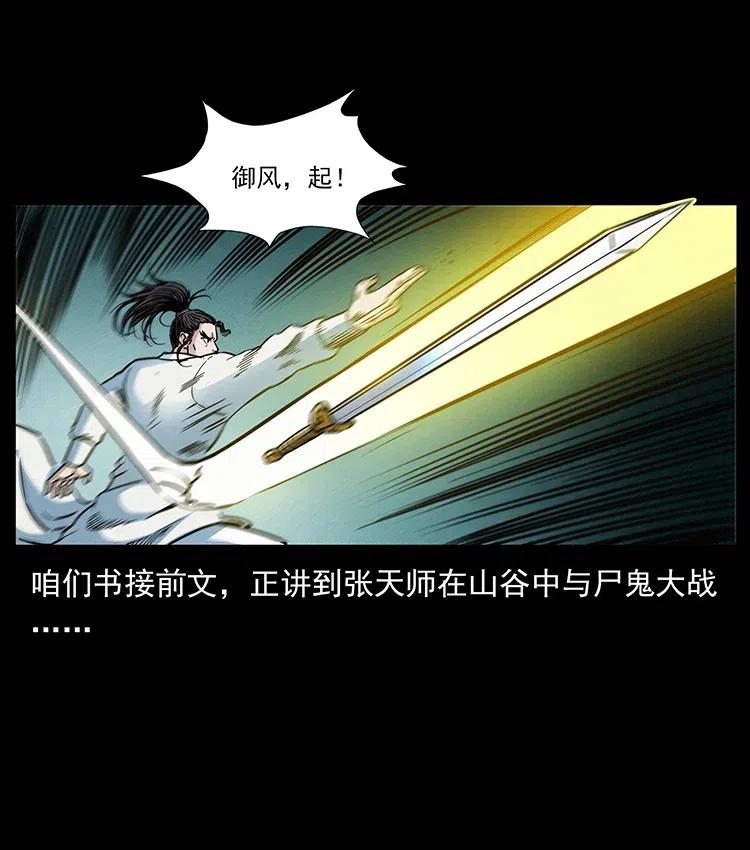 幽冥诡匠 355 天师！天师！ 第2页