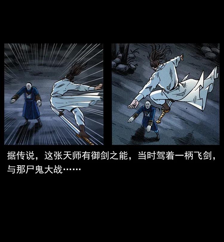 幽冥诡匠 355 天师！天师！ 第5页