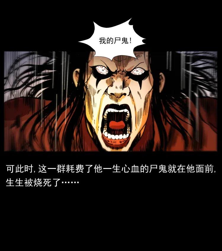 幽冥诡匠 356 飞僵 第51页