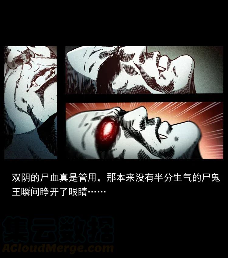 幽冥诡匠 356 飞僵 第85页