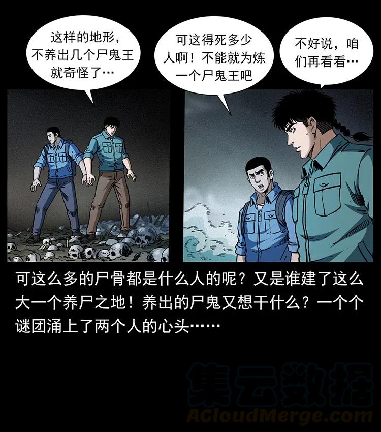 幽冥诡匠 358 万魂塚 第10页