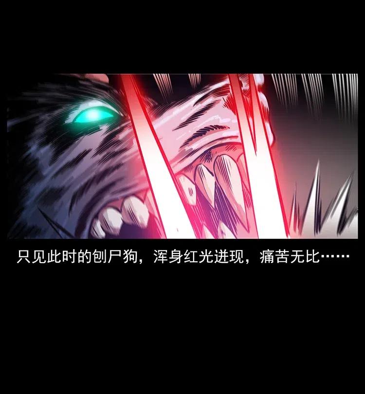 幽冥诡匠 358 万魂塚 第66页