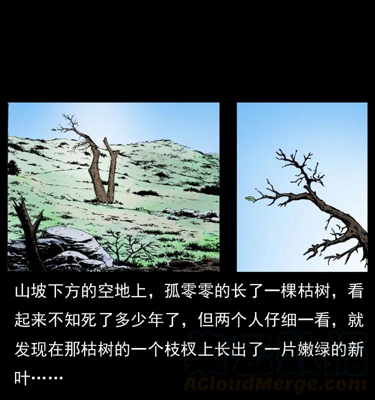 幽冥诡匠 036 百雀丹（上） 第33页