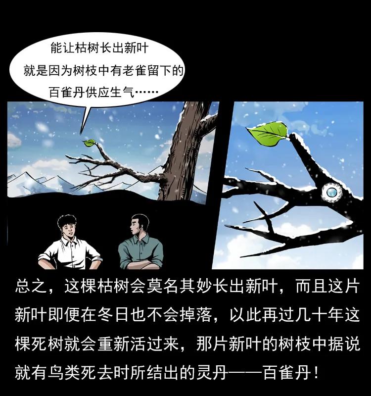 幽冥诡匠 036 百雀丹（上） 第12页