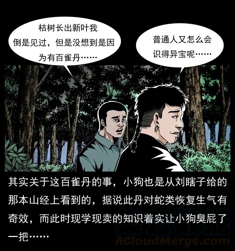 幽冥诡匠 036 百雀丹（上） 第13页