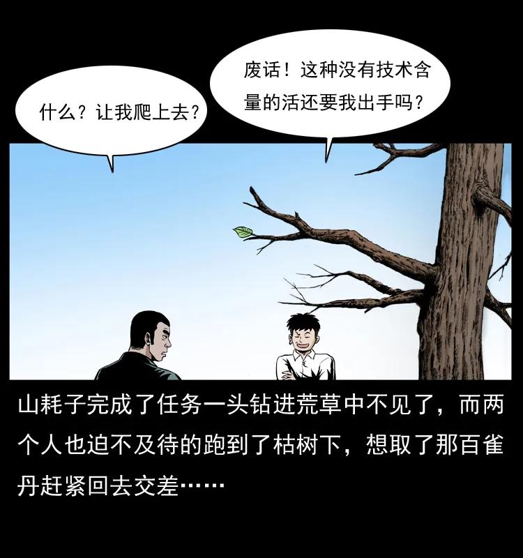 幽冥诡匠 036 百雀丹（上） 第34页