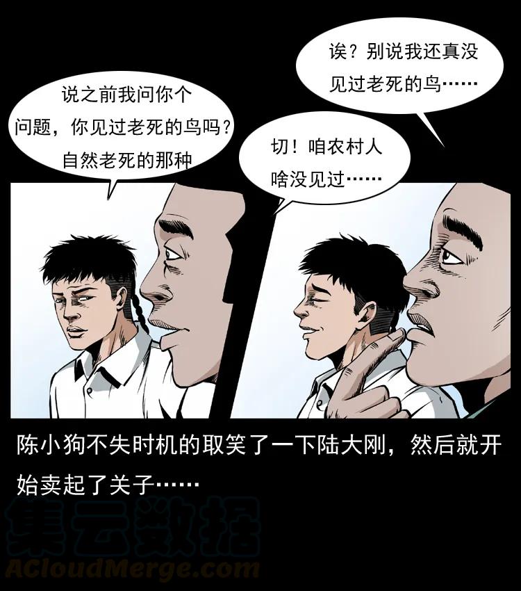 幽冥诡匠 036 百雀丹（上） 第5页