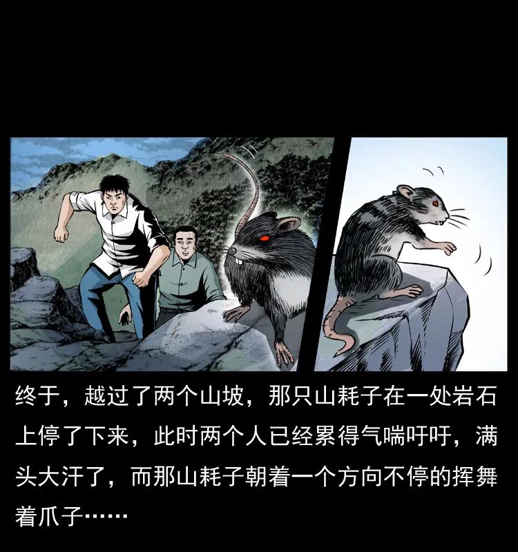 幽冥诡匠 036 百雀丹（上） 第31页