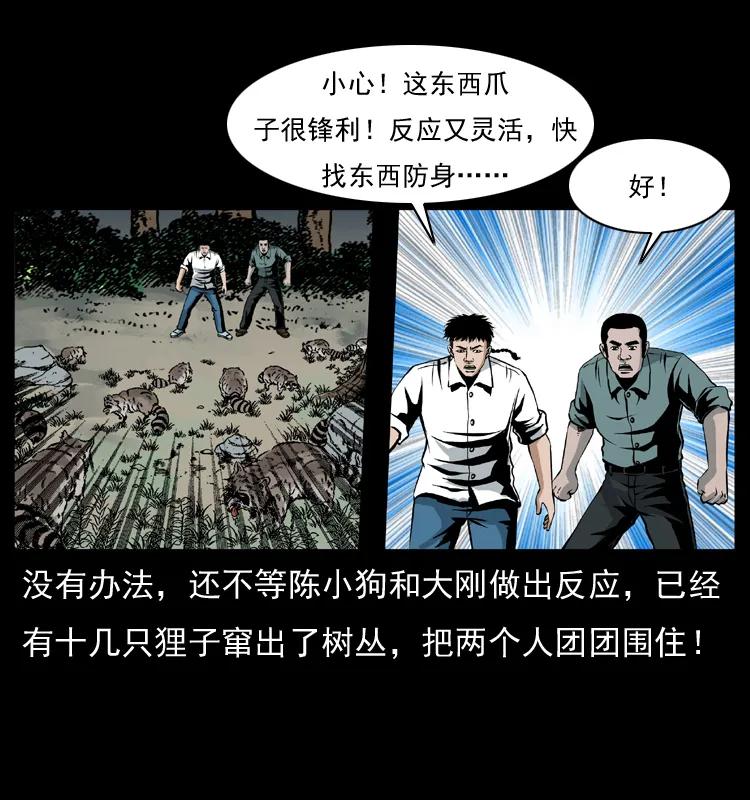 幽冥诡匠 036 百雀丹（上） 第47页