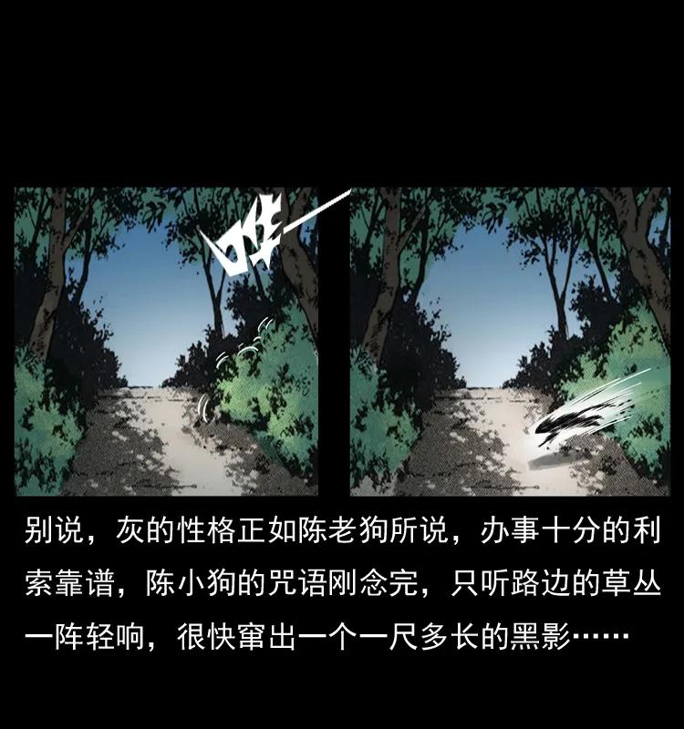 幽冥诡匠 036 百雀丹（上） 第26页