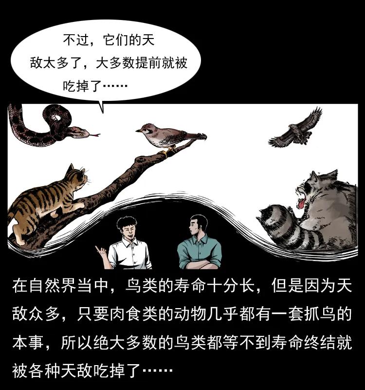 幽冥诡匠 036 百雀丹（上） 第7页