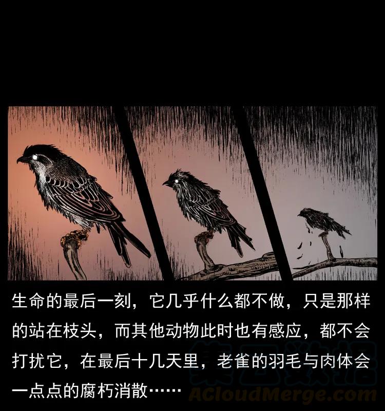 幽冥诡匠 036 百雀丹（上） 第9页