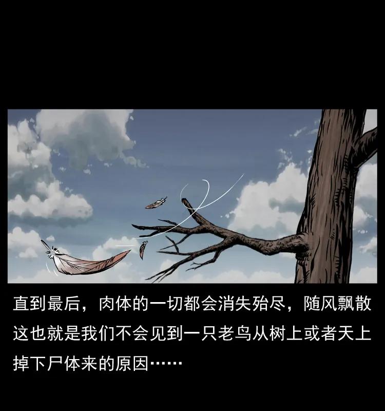 幽冥诡匠 036 百雀丹（上） 第10页