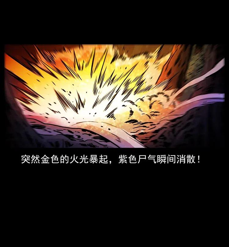 幽冥诡匠 362 半神之境 第53页