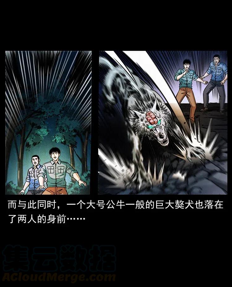幽冥诡匠 362 半神之境 第64页