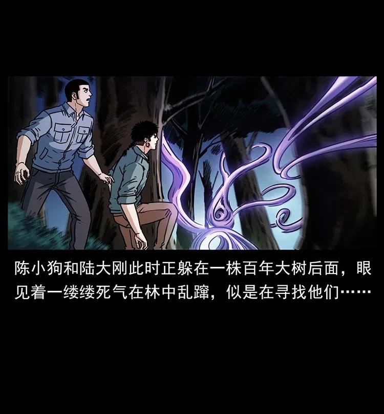 幽冥诡匠 362 半神之境 第35页