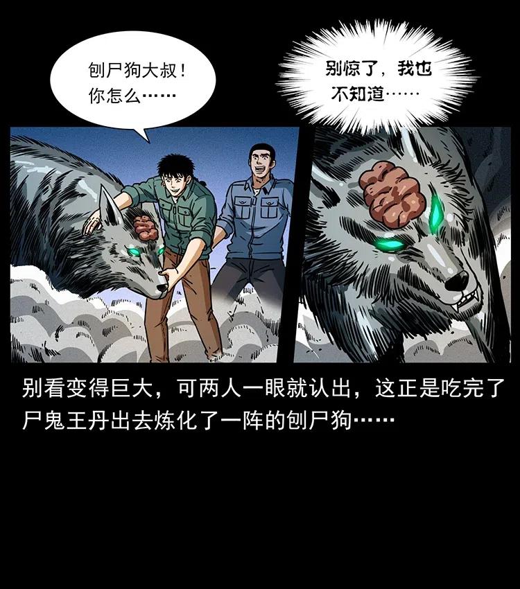 幽冥诡匠 362 半神之境 第65页