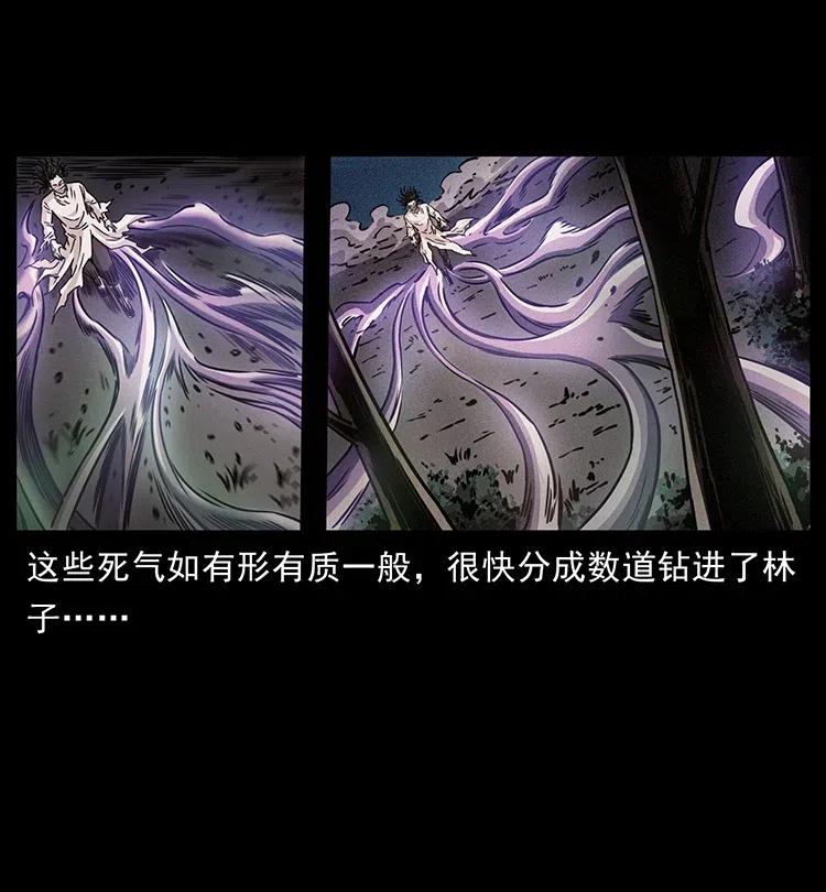幽冥诡匠 362 半神之境 第33页